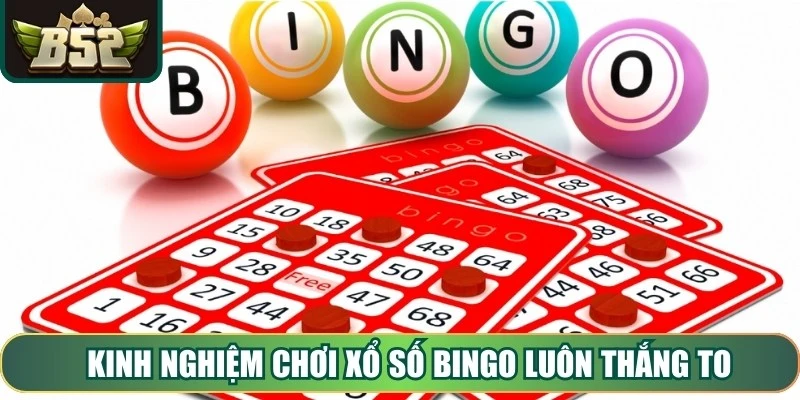 Kinh nghiệm chơi xổ số Bingo luôn thắng to